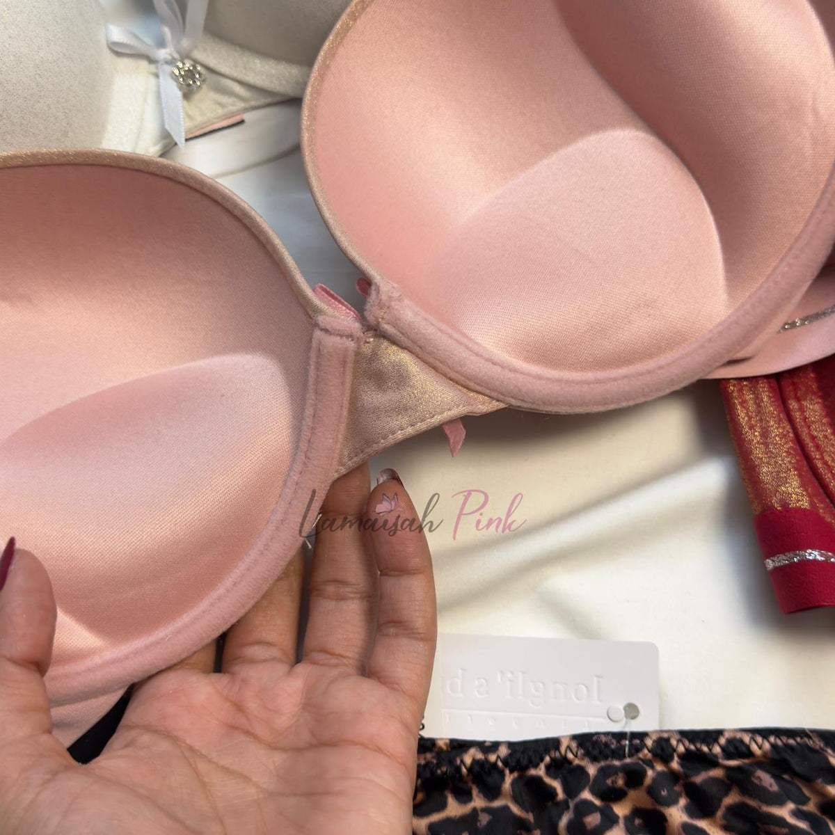 Premium Shiny Push Up Bra Set